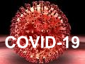 Covid-19 Sito Home Page