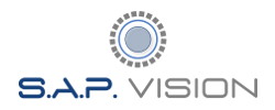 Logo S.A.P. VISION TVCC Videosorveglianza Videocontrollo